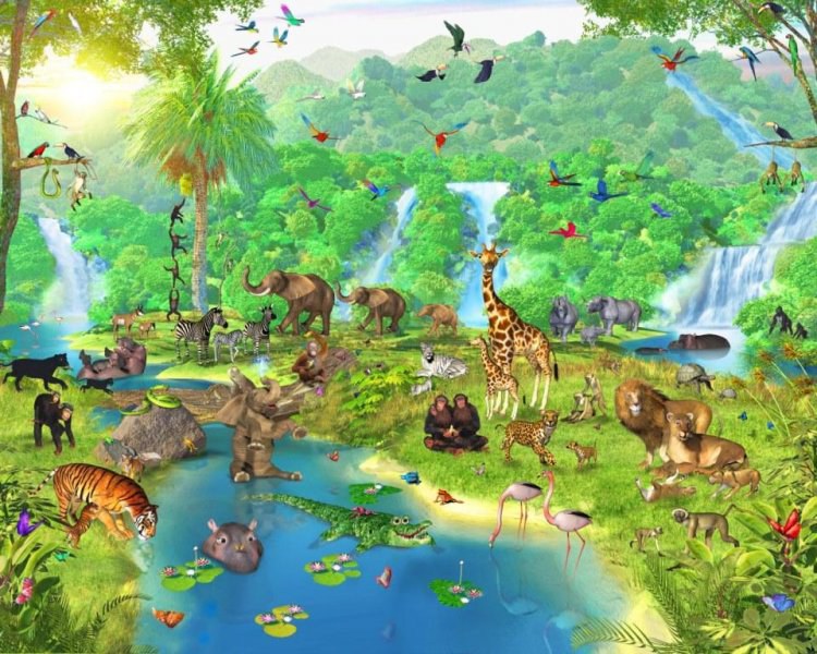 Fototapeta 12 dílná 3D Jungle | Fototapety - FOTOTAPETY PRO DĚTI Fototapeta 12 dílná 3D Jungle | Fototapety - FOTOTAPETY PRO DĚTI