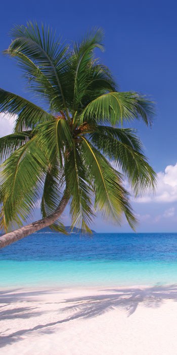 Fototapeta Beach | Fototapety - Fototapety vliesové 220x110