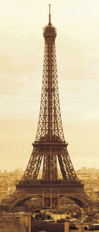 Fototapeta 1dílná Eifel | Fototapety - FOTOTAPETY 1DÍLNÉ Fototapeta 1dílná Eifel | Fototapety - FOTOTAPETY 1DÍLNÉ