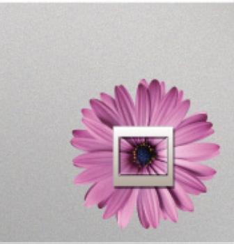 Samolepky na vypínač růžou | Dekorace na zeď - SAMOLEPKY NA ZEĎ