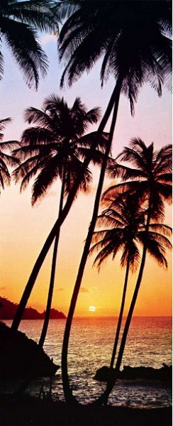 Fototapeta 2dílná Sunny Palms | Fototapety - FOTOTAPETY 2DÍLNÉ Fototapeta 2dílná Sunny Palms | Fototapety - FOTOTAPETY 2DÍLNÉ