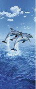 Fototapeta 2dílná Three Dolphins | Fototapety - FOTOTAPETY 2DÍLNÉ Fototapeta 2dílná Three Dolphins | Fototapety - FOTOTAPETY 2DÍLNÉ