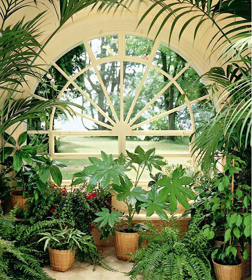 Fototapeta 4dílná Winter Garden | Fototapety - FOTOTAPETY 4DÍLNÉ Fototapeta 4dílná Winter Garden | Fototapety - FOTOTAPETY 4DÍLNÉ