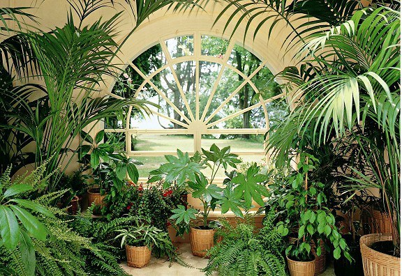 Fototapeta 8dílná Wintergarden | Fototapety - FOTOTAPETY 8DÍLNÉ Fototapeta 8dílná Wintergarden | Fototapety - FOTOTAPETY 8DÍLNÉ